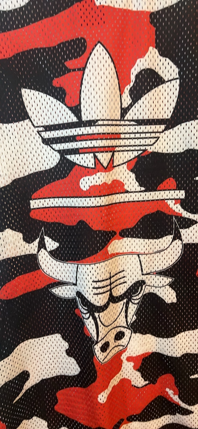 Adidas Chicago Bulls Camo Jersey M The price is firm! - photo 2