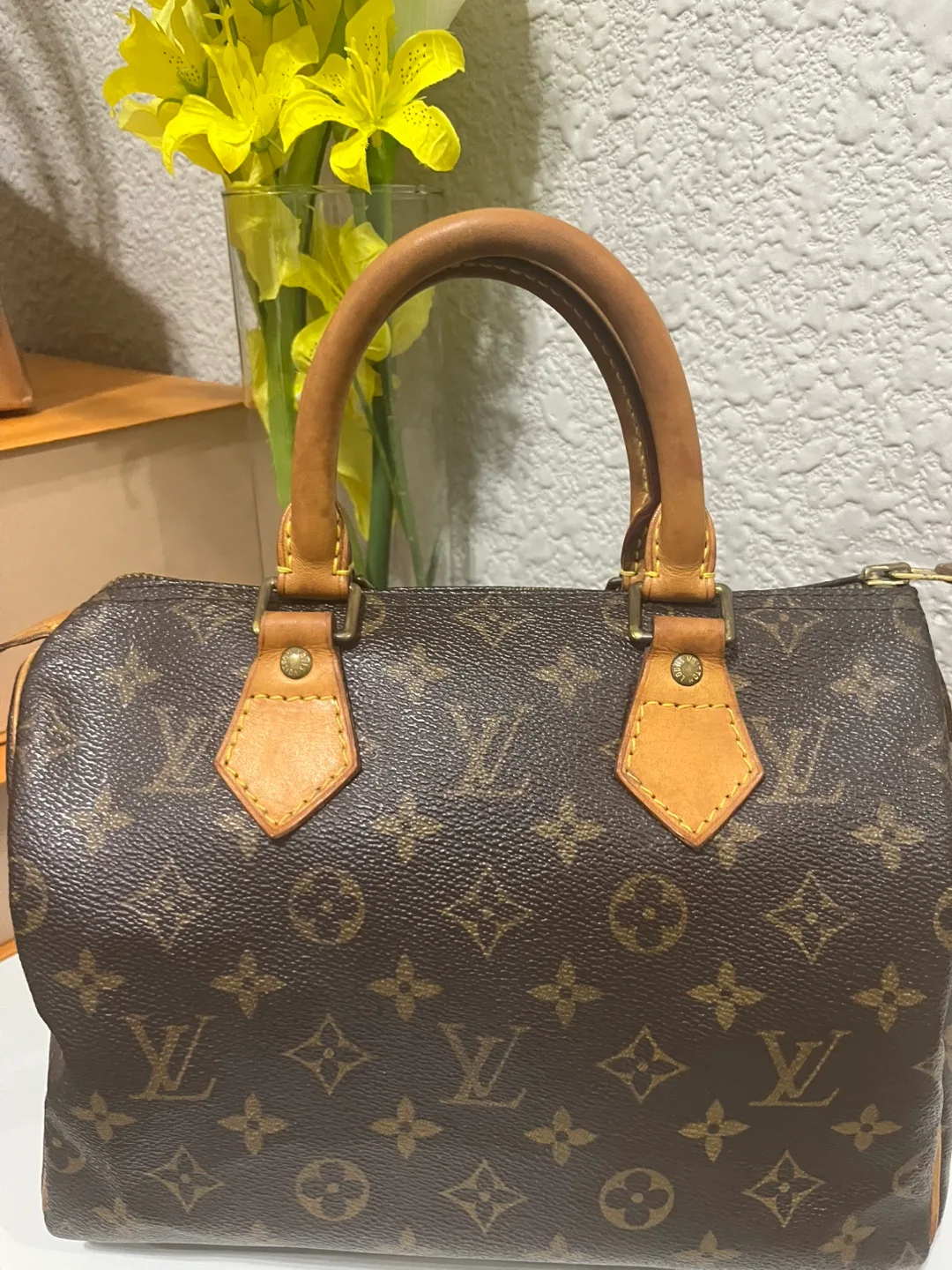 Authentic Louis Vuitton Speedy 25 Monogram Handbag image indicator(3)
