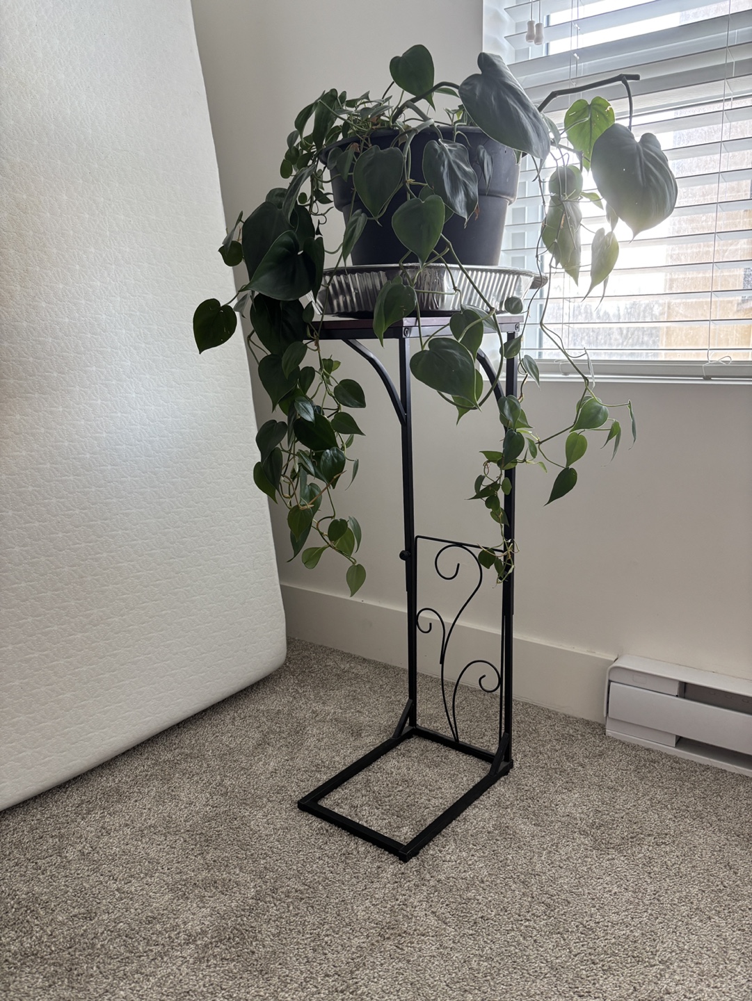 Sofa Side Table -  C-Table with Metal Frame
