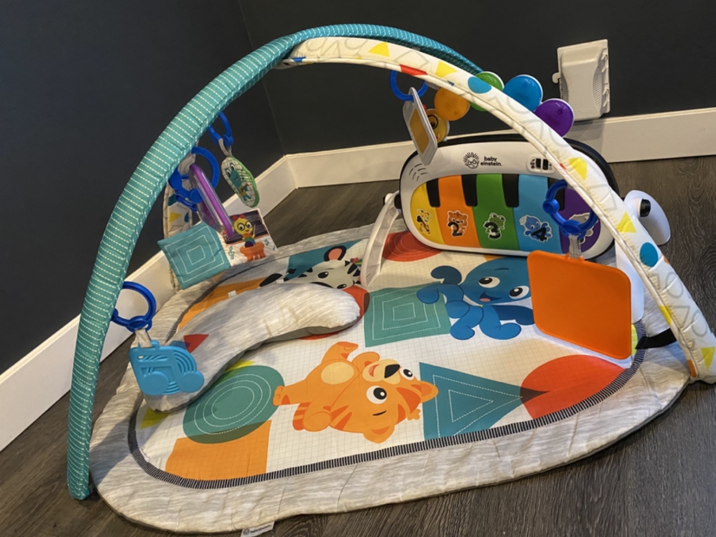 Baby Einstein Take Along Symphony Activity Gym