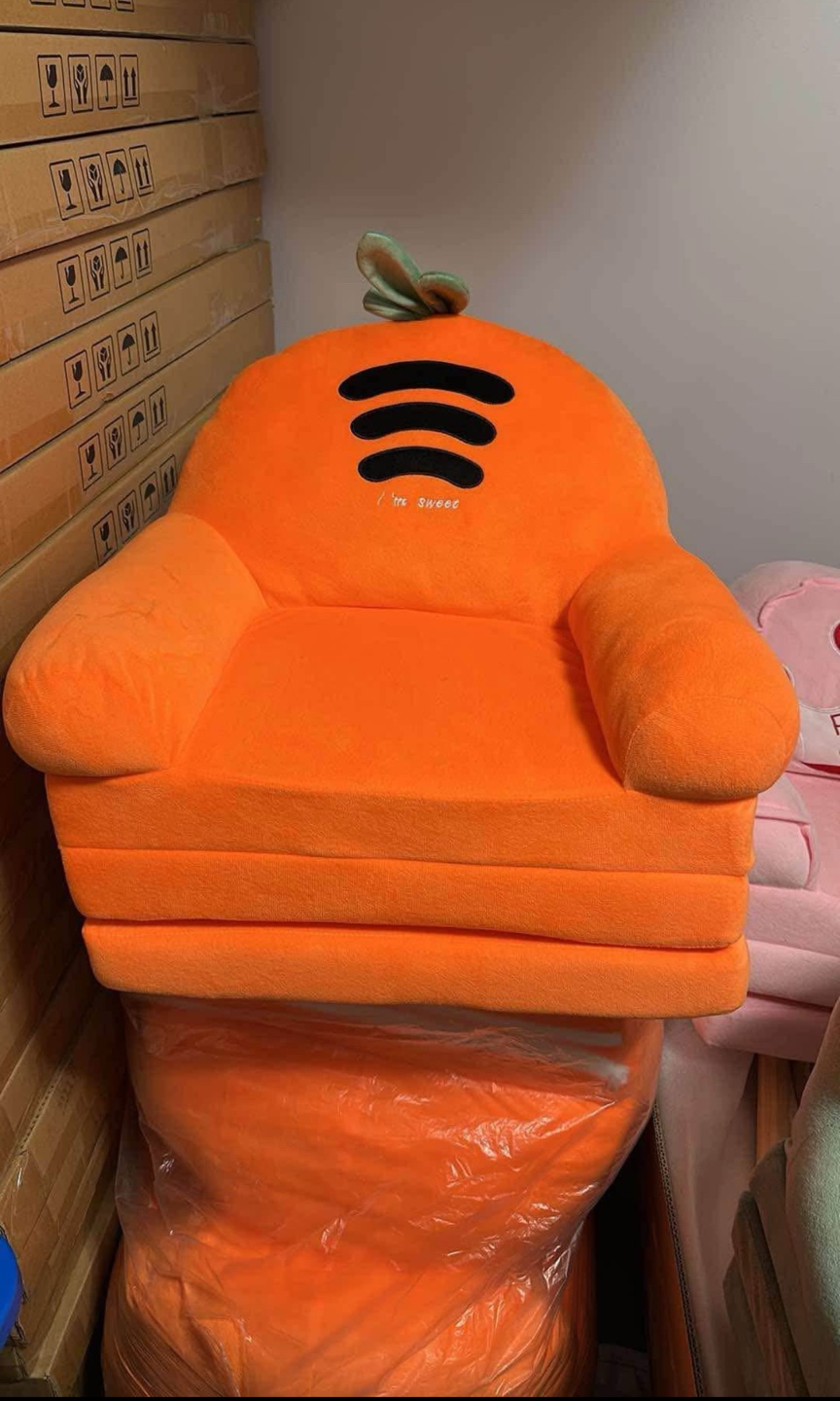 Kids' Folding Sofa Chair - Cactus, Carrot or Princess Design - photo 2