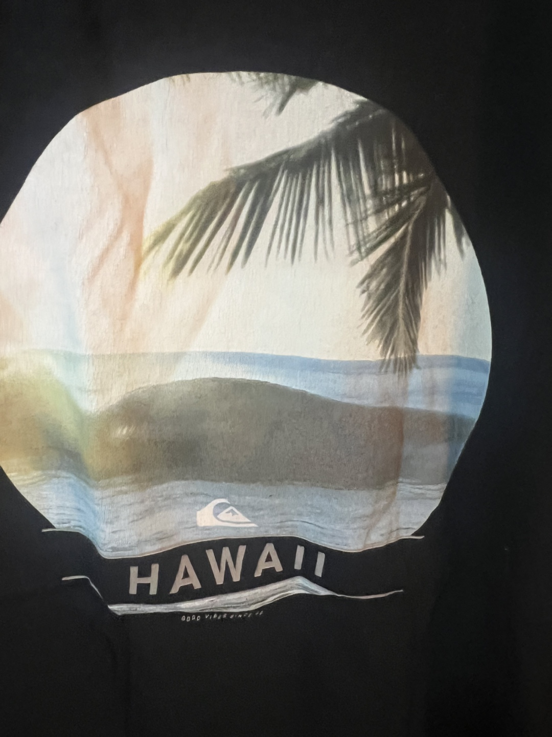 Quiksilver Hawaii Graphic T-Shirt
