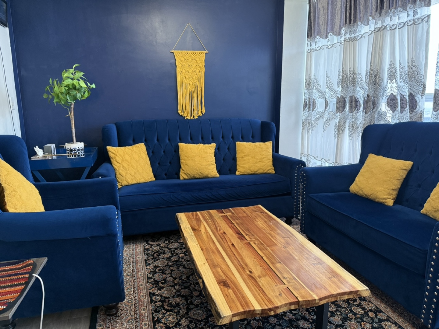 Elegant Blue Velvet Sofa Set