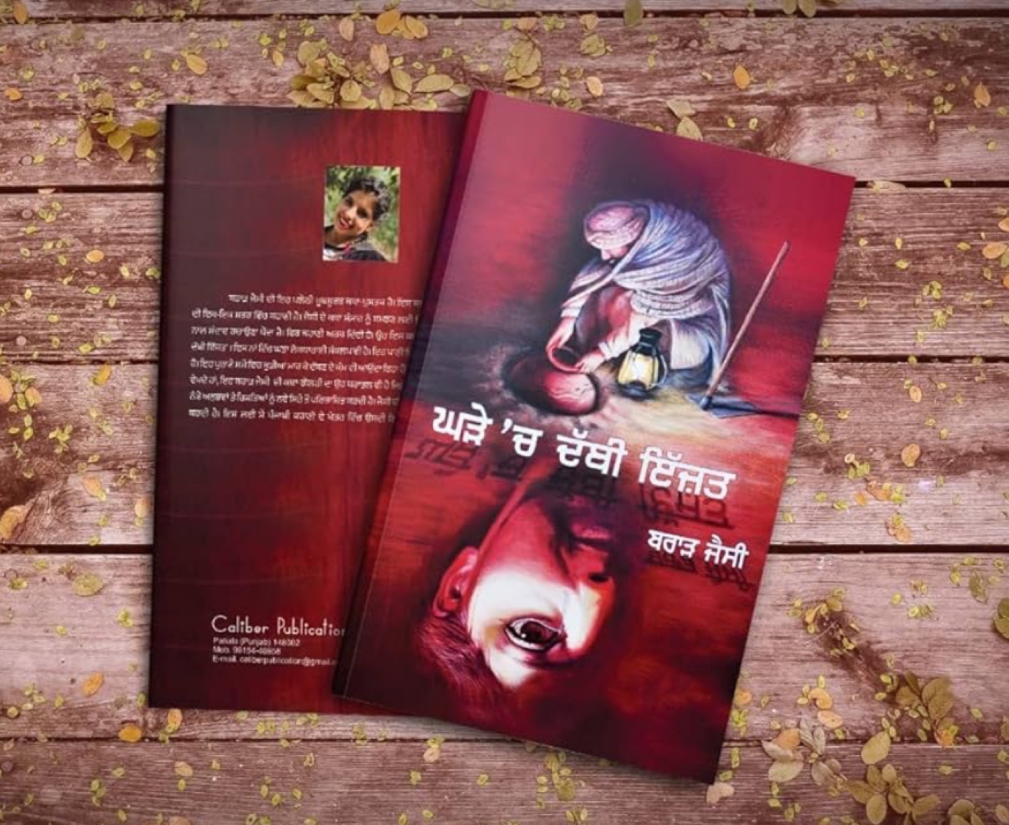 Punjabi Novel
