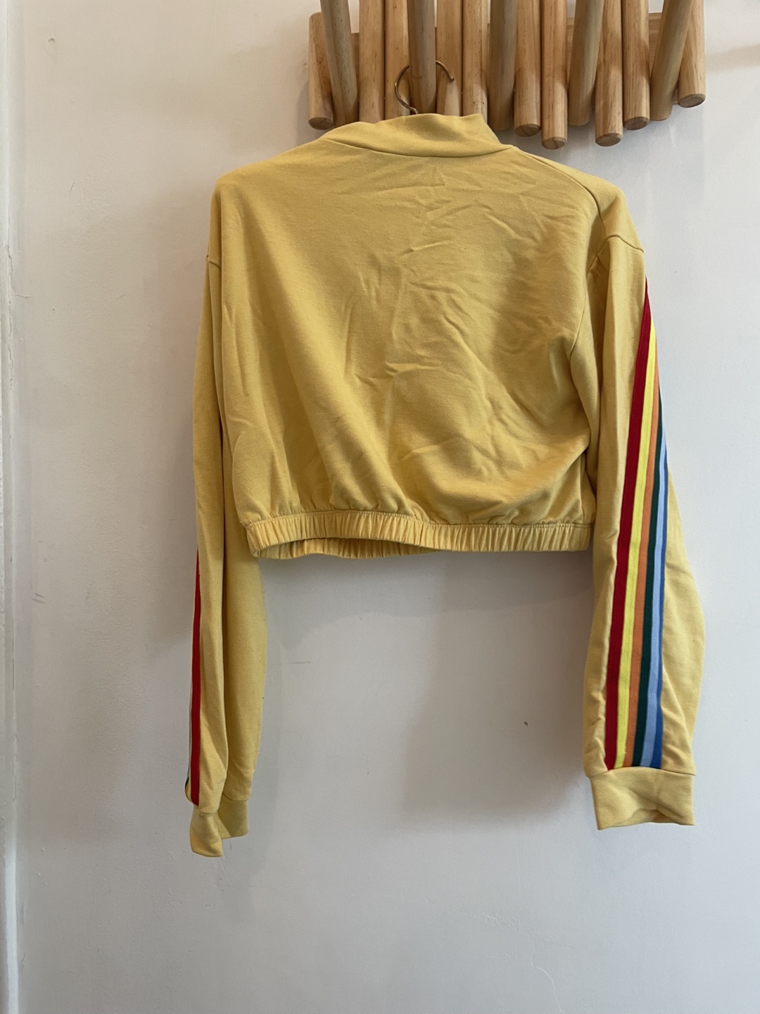 Vintage Rainbow Stripe Cropped Zip-Up Sweatshirt - photo 2
