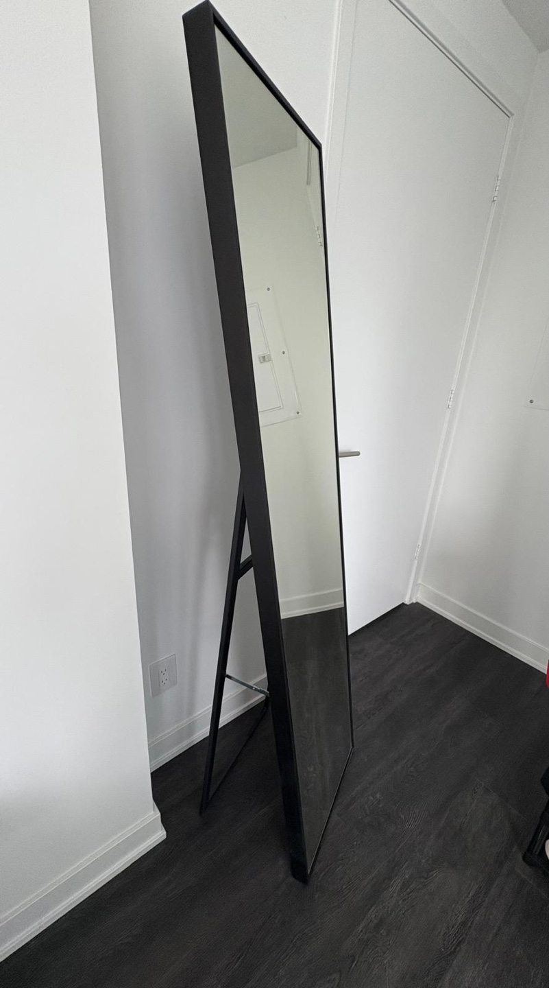 Full-Length Spy Floor Mirror - Black Frame
