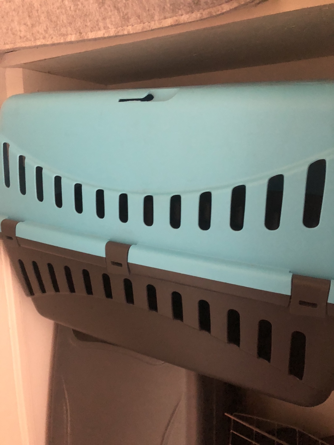 Large Pet Carrier - Blue and Grey