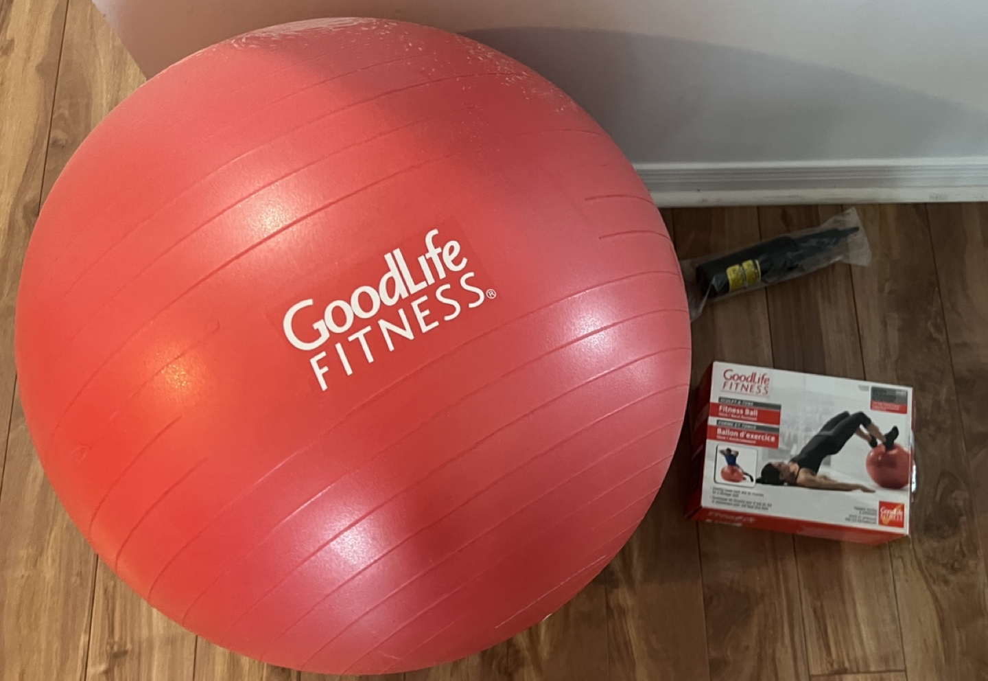GoodLife Fitness 55cm Exercise Ball with Pump