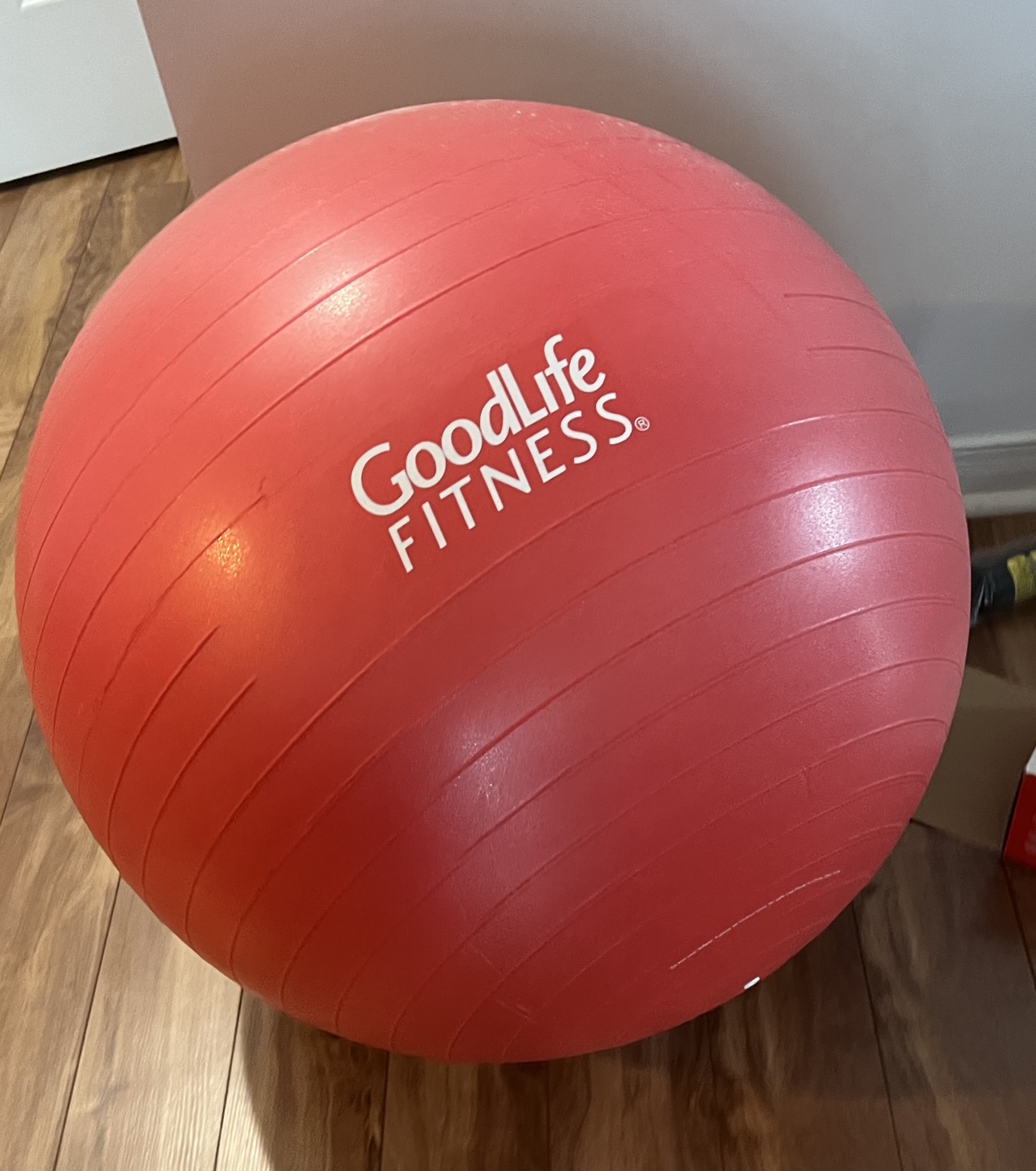 GoodLife Fitness 55cm Exercise Ball with Pump - photo 4