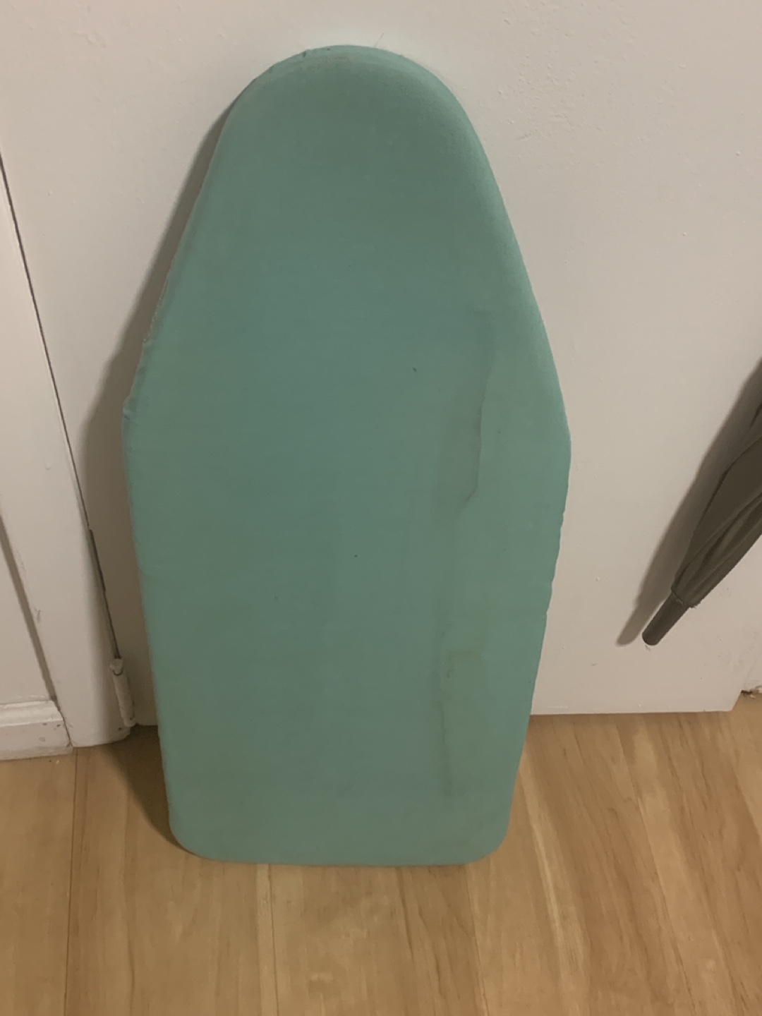 Sunbeam Steam Master Professional Iron & Ironing Board - photo 2