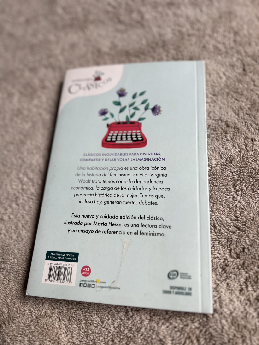Una Habitación Propia - Virginia Woolf (Illustrated Edition) - photo 2