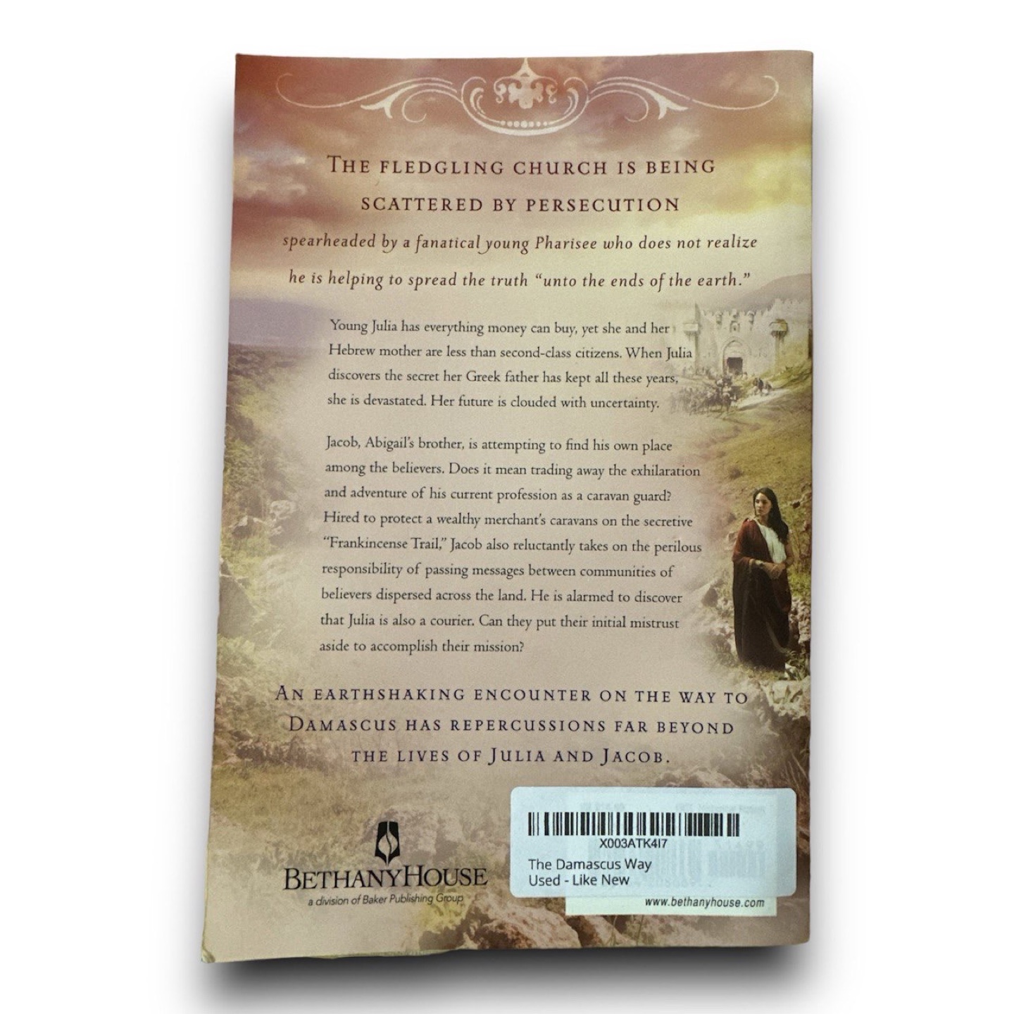 The Damascus Way: Book 3 of the Acres of Faith series - photo 3