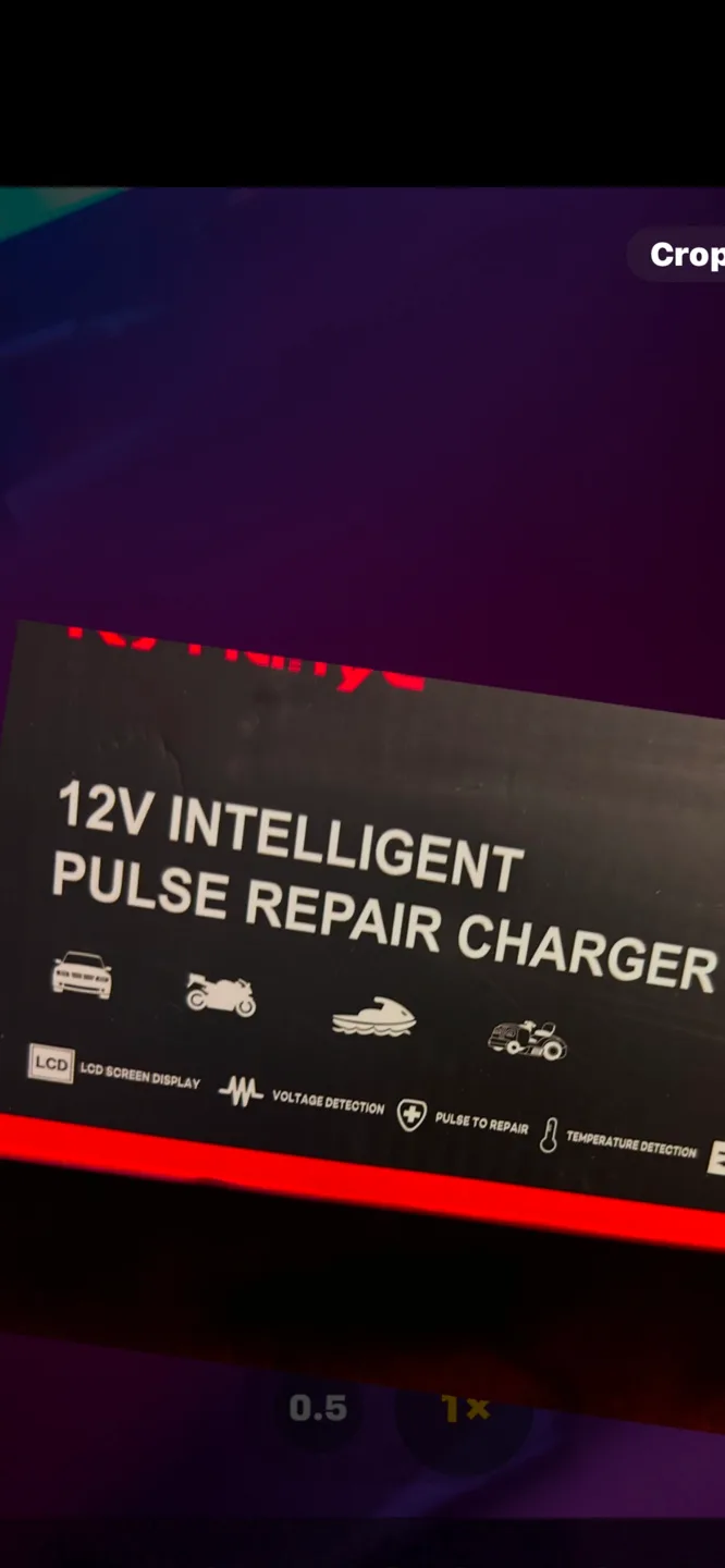 RJ Tianye 12V Intelligent Pulse Repair Charger image indicator(2)