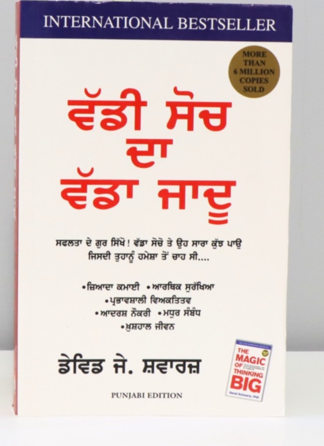 Punjabi Edition of The Magic of Thinking Big