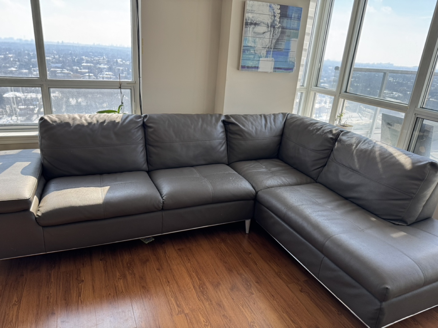 Grey Leather Sectional Sofa - photo 2