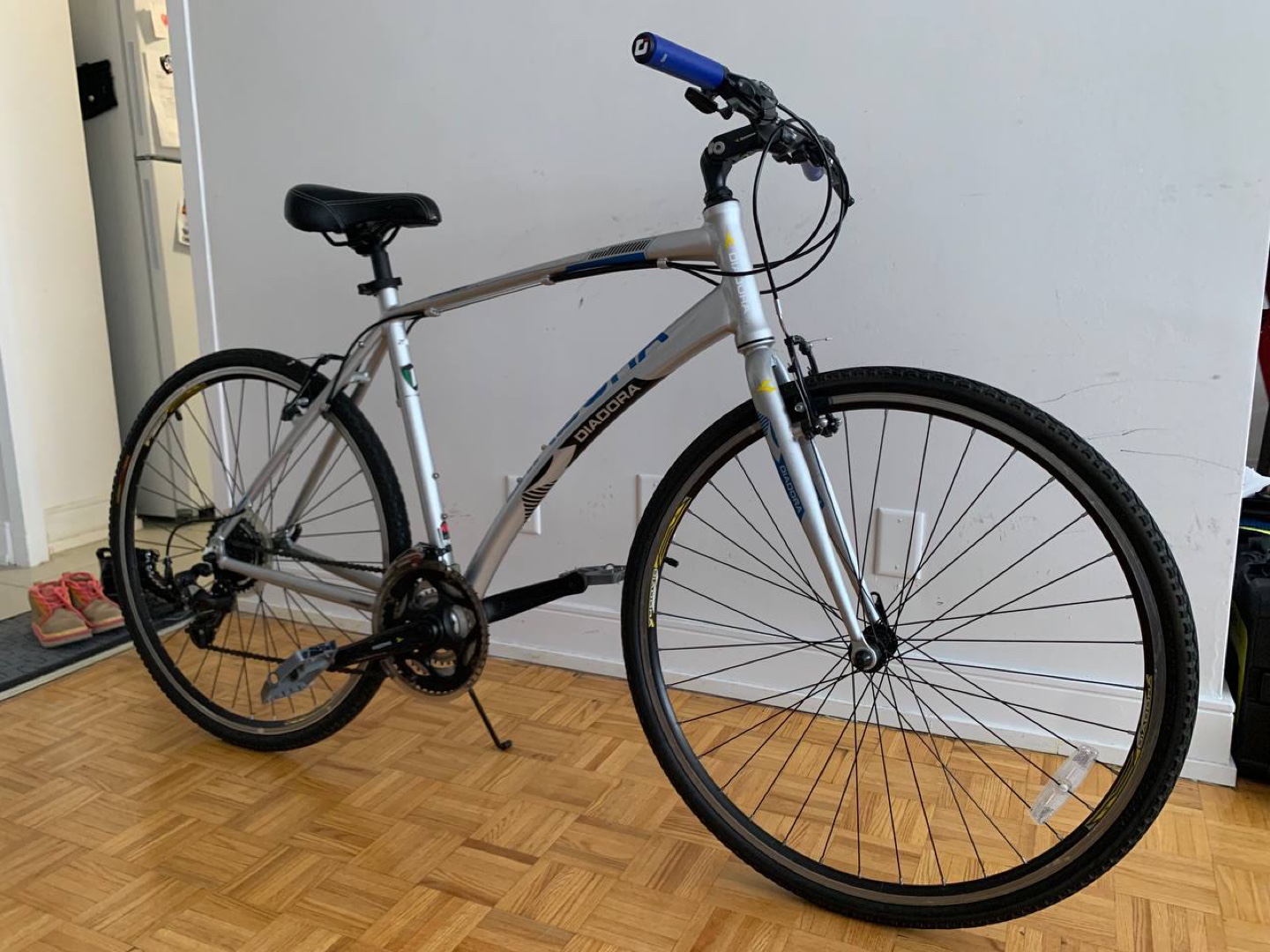 Biagioni Hybrid Bike