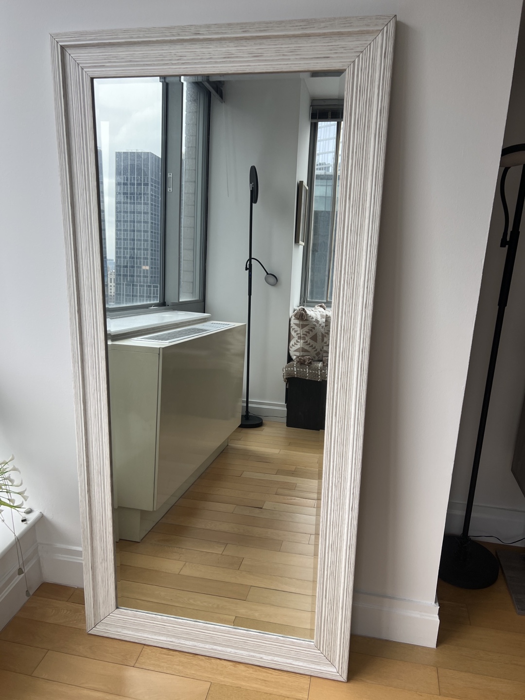 Full Body Mirror