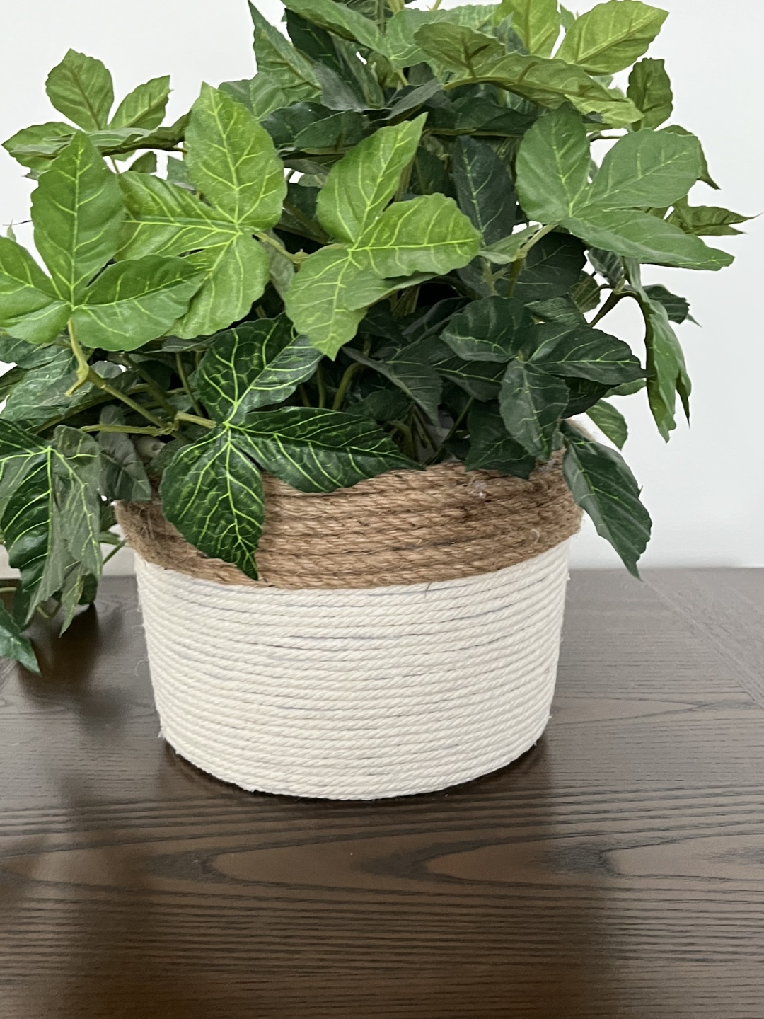 Hand Crafted Rope Planters