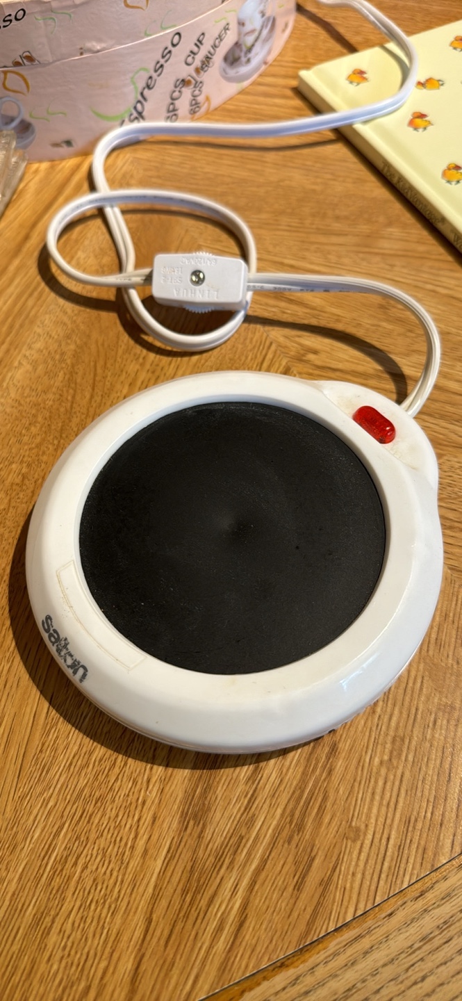 Salton Electric Drink Warmer