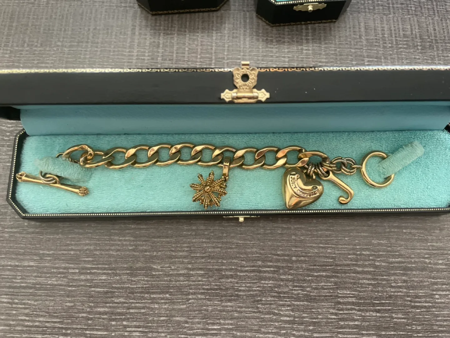 Juicy Couture Charm Bracelet & 3 Additional Charms image indicator(4)