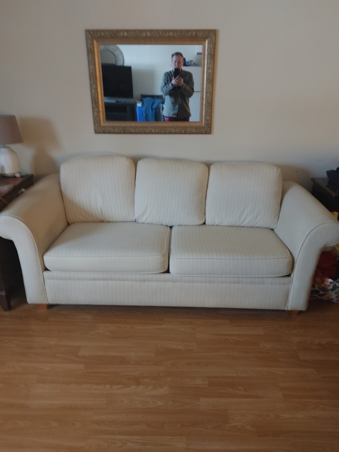 Free - pull out couch