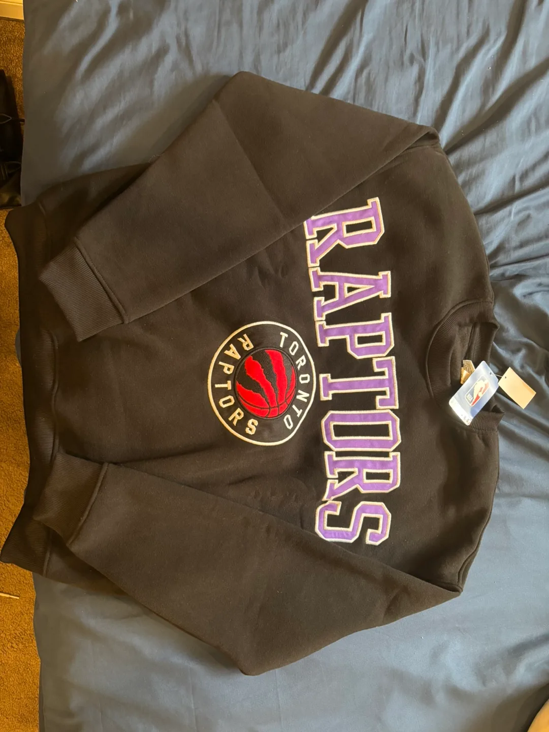 NBA Team Logo Sweatshirts (Lakers, Raptors, 49ers) image indicator(3)