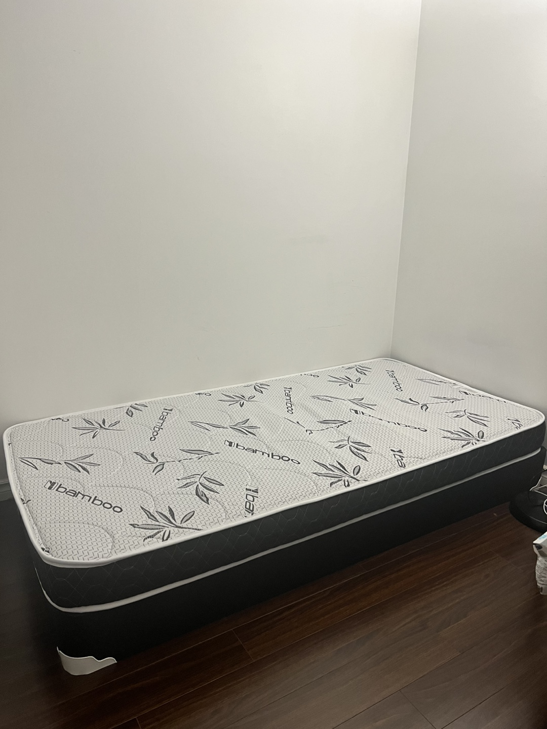 Single Mattress and Box Spring Set