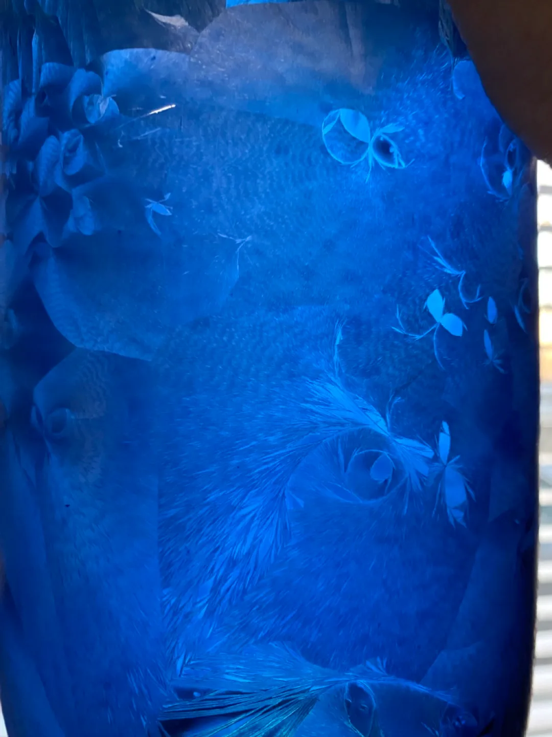 4  Decorative Vases! image indicator(4)