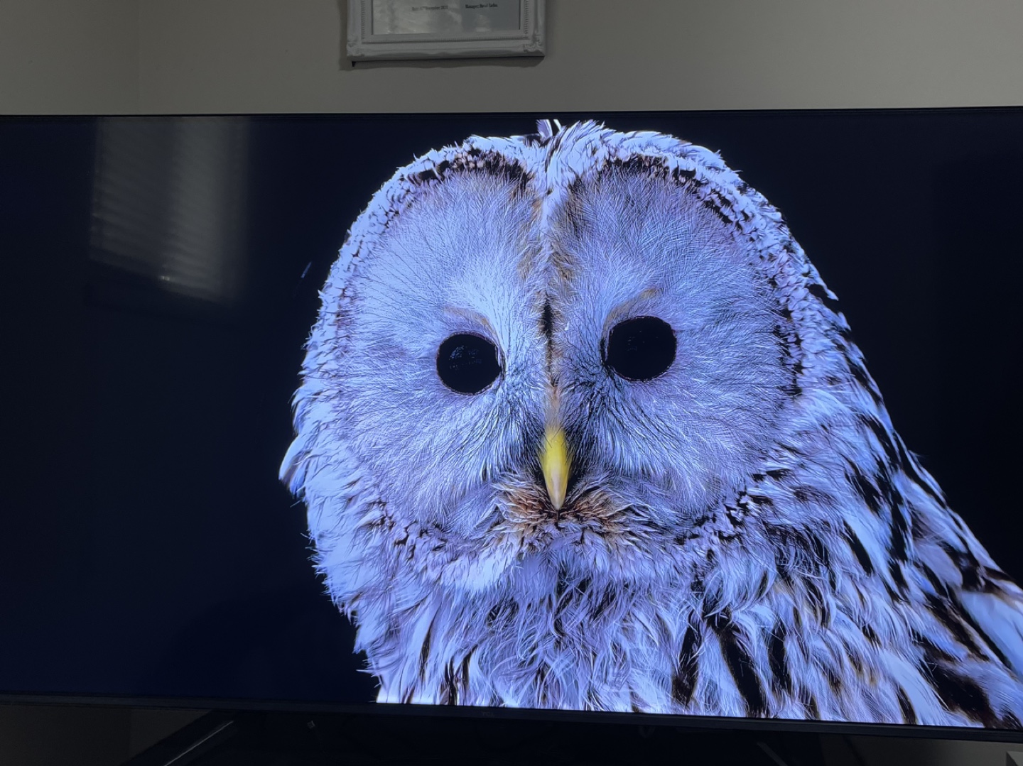 TCL 55-Inch Q6 QLED 4K Smart TV with Google TV - photo 2