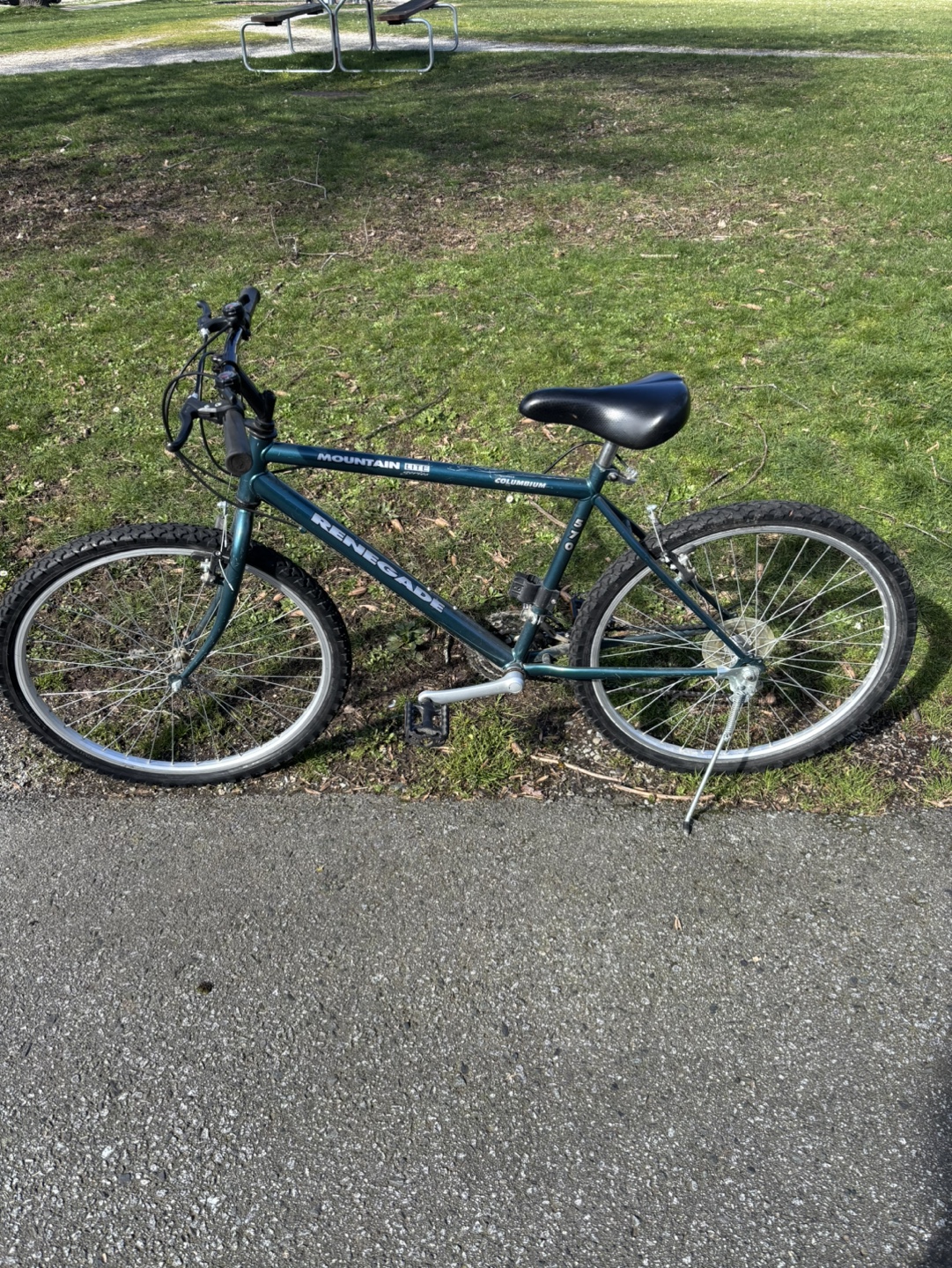 Renegade Mountain Bike