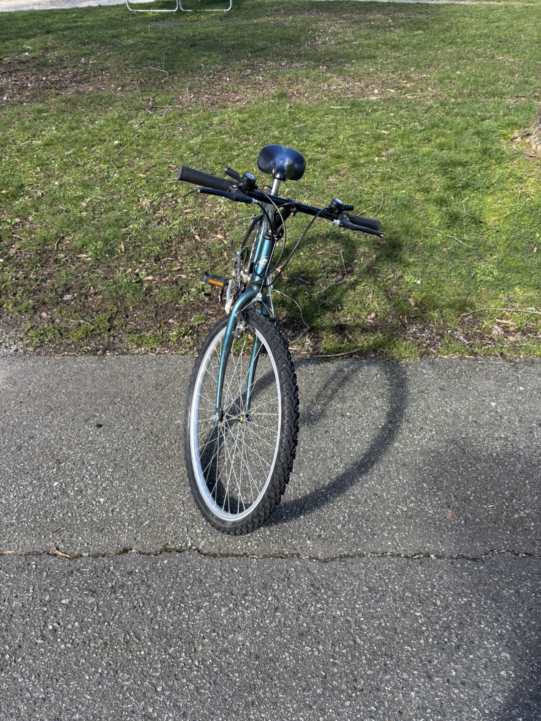 Renegade Mountain Bike - photo 2