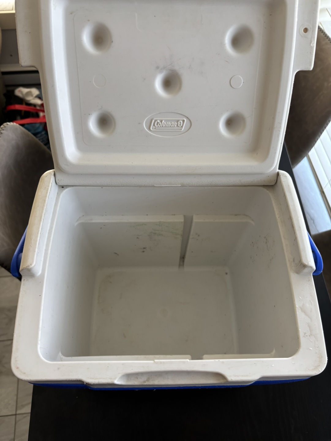 Coleman Excursion 9-Can Cooler - photo 4