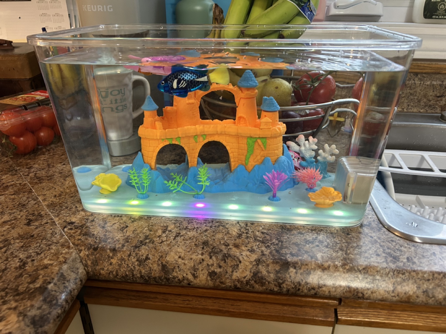 Small Aquarium Kit with LED Light and Castle Decor