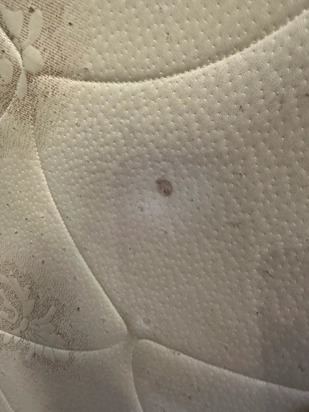 Queen Mattress and  IKEA Metal Frame image indicator(5)