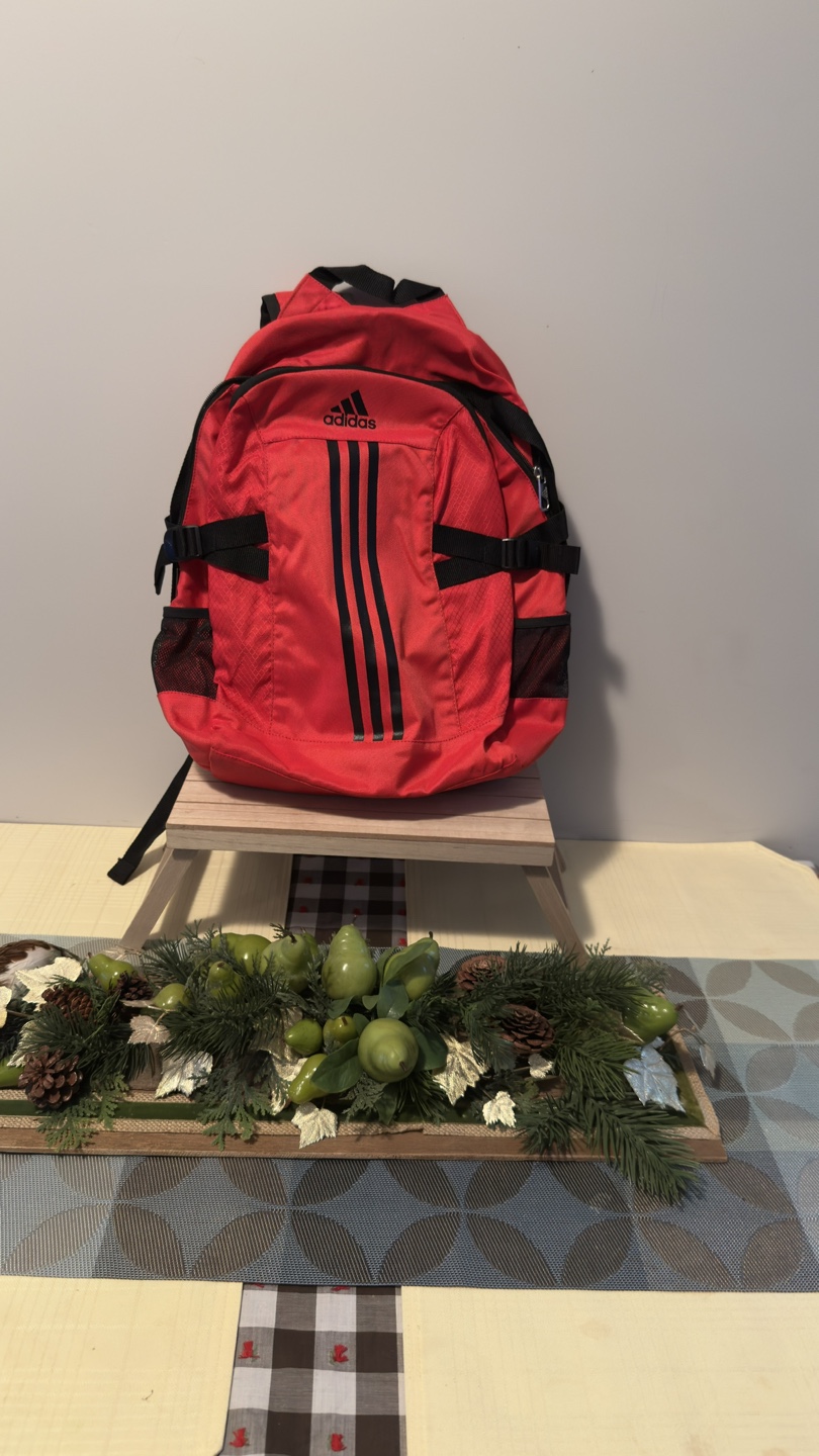 Adidas Red Backpack - photo 2