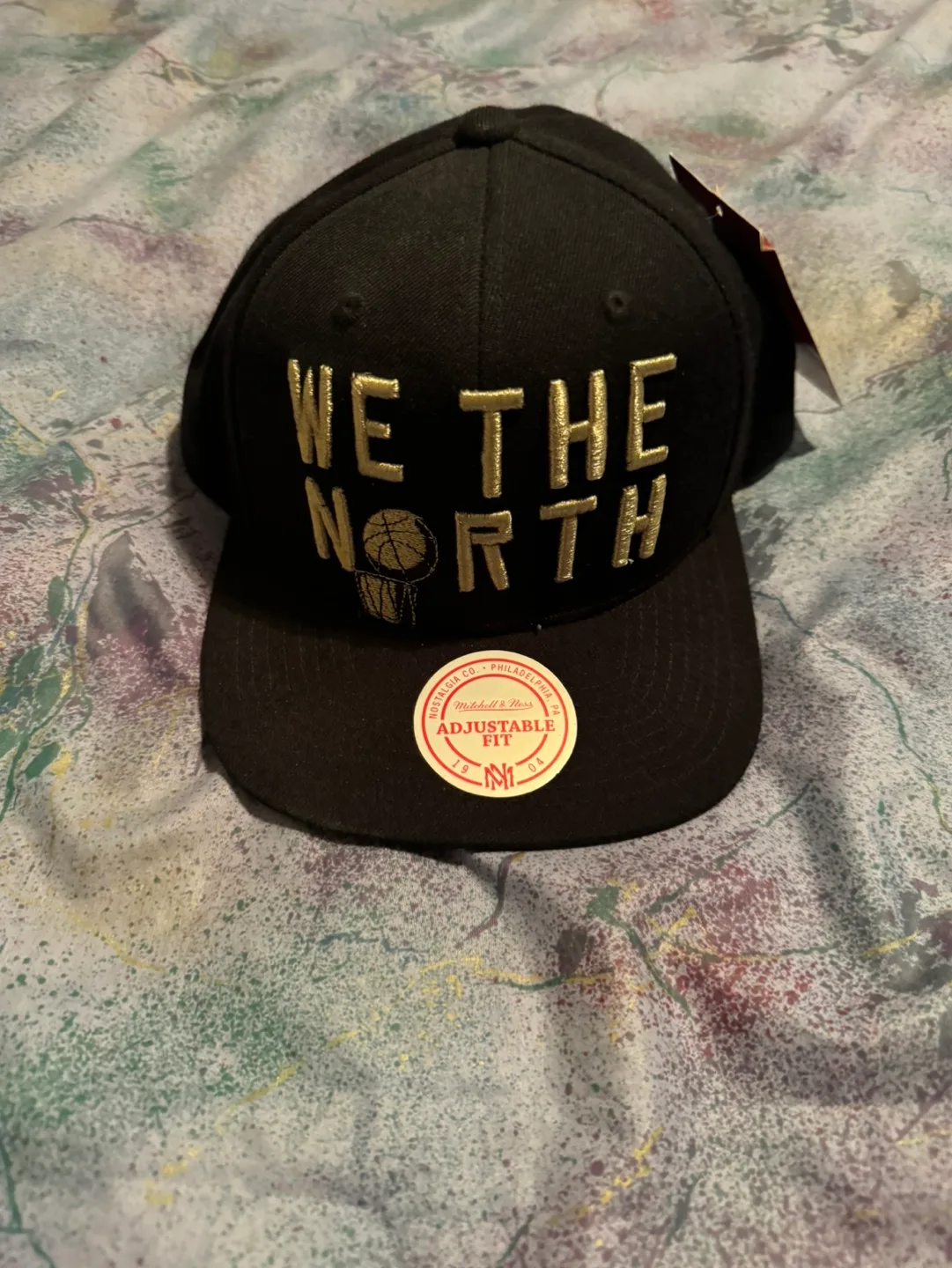 Mitchell & Ness We The North Adjustable Hat thumbnail