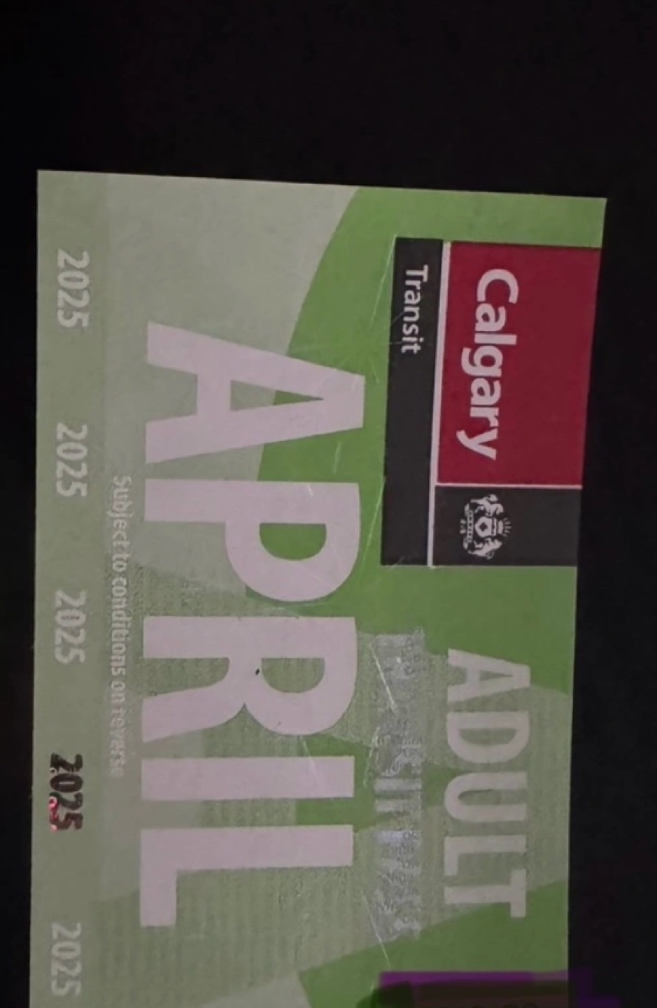 4 adults bus passes each 100$ message for offers