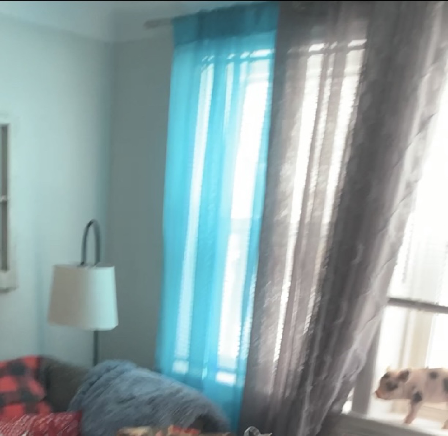 Pair of curtains: Teal and Grey