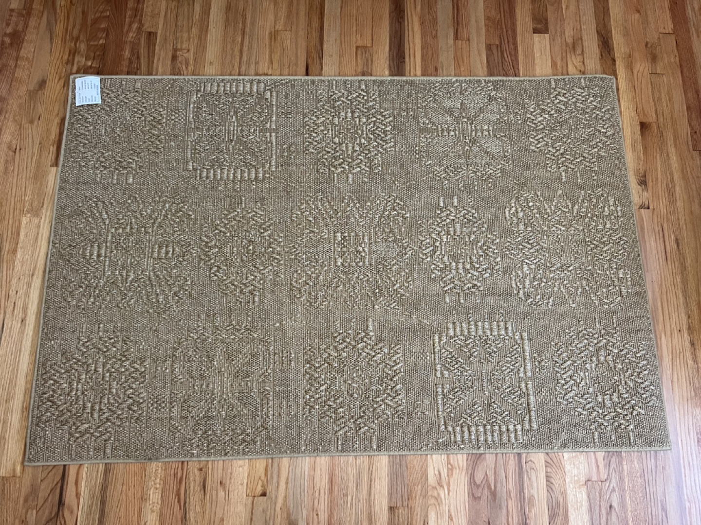 SSISAL INDOOR/OUTDOOR AREA RUG 4’ X 6’, CHANNING WHEATBURRY