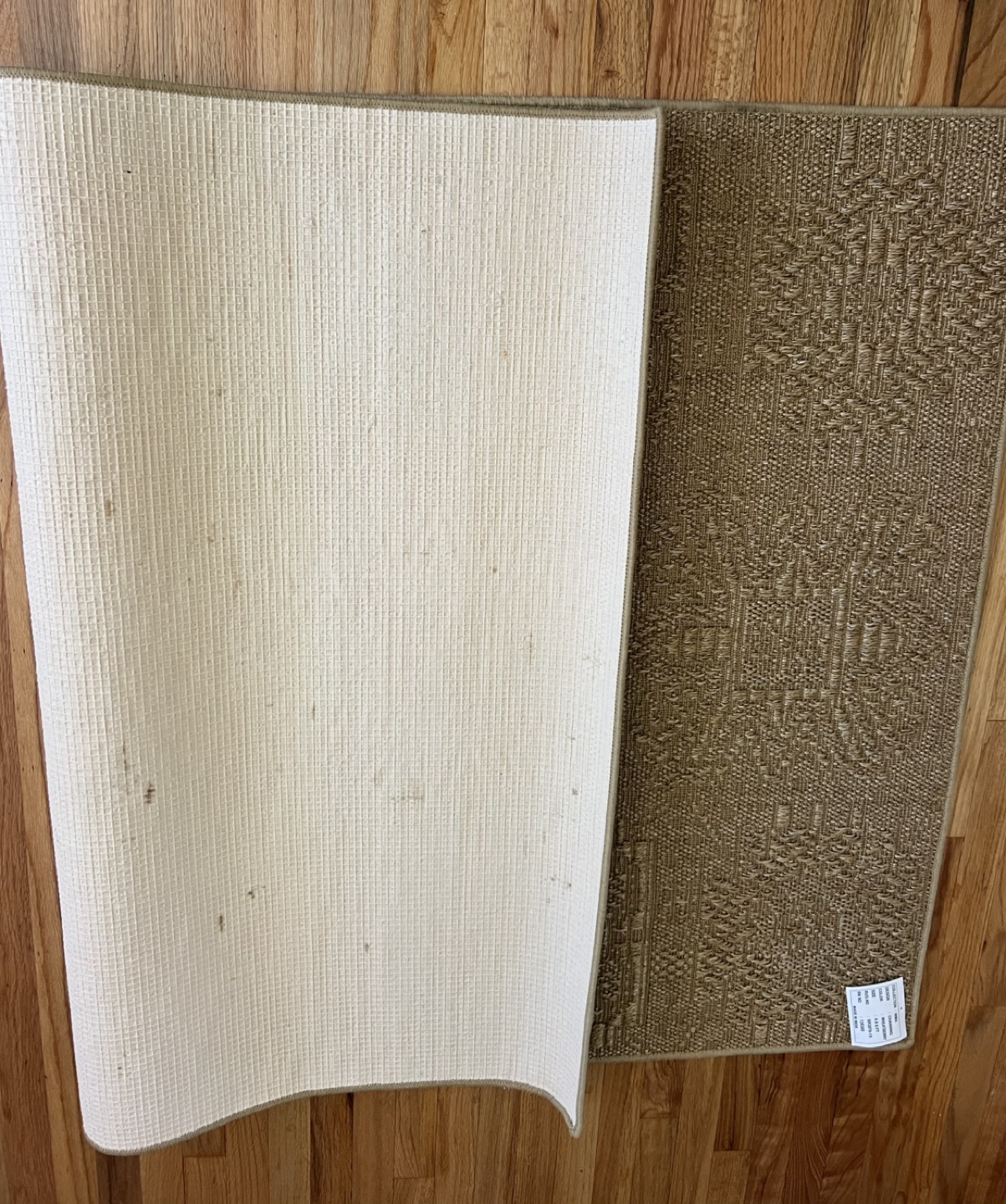 SSISAL INDOOR/OUTDOOR AREA RUG 4’ X 6’, CHANNING WHEATBURRY - photo 5