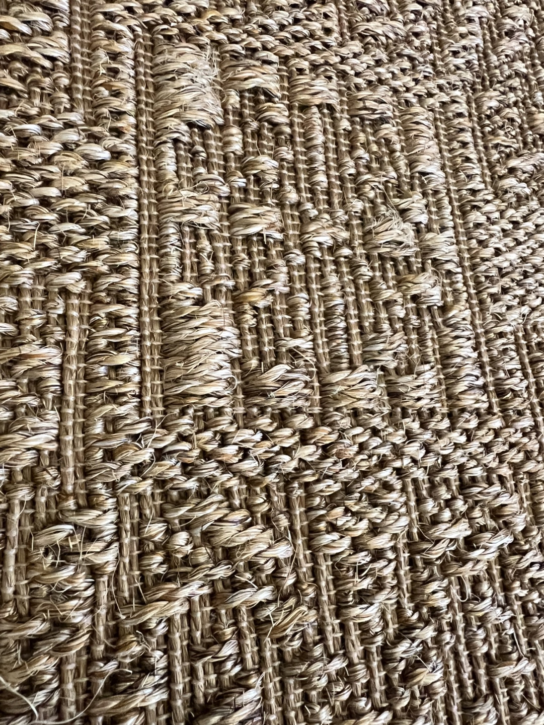 SSISAL INDOOR/OUTDOOR AREA RUG 4’ X 6’, CHANNING WHEATBURRY - photo 3