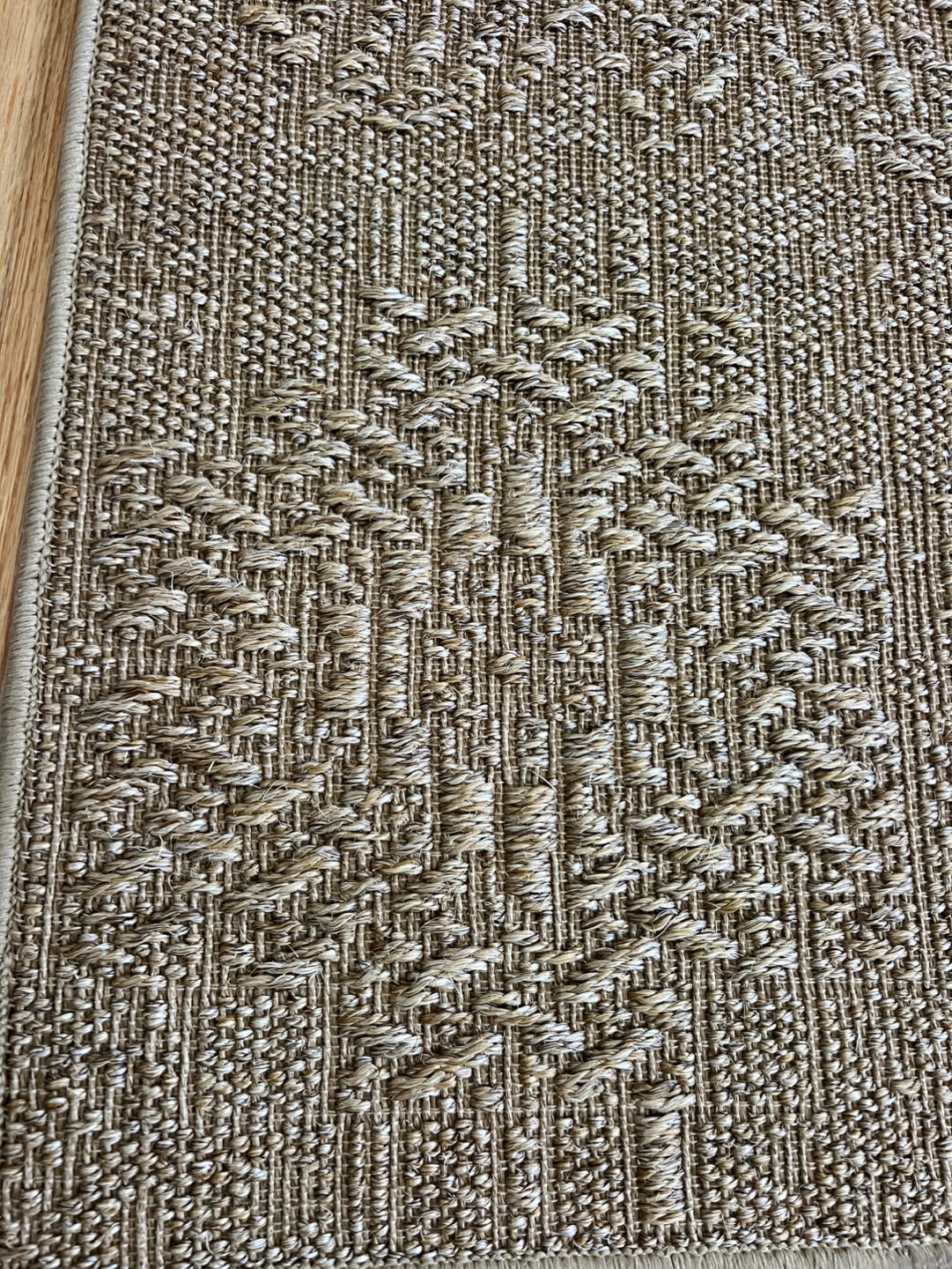 SSISAL INDOOR/OUTDOOR AREA RUG 4’ X 6’, CHANNING WHEATBURRY - photo 2