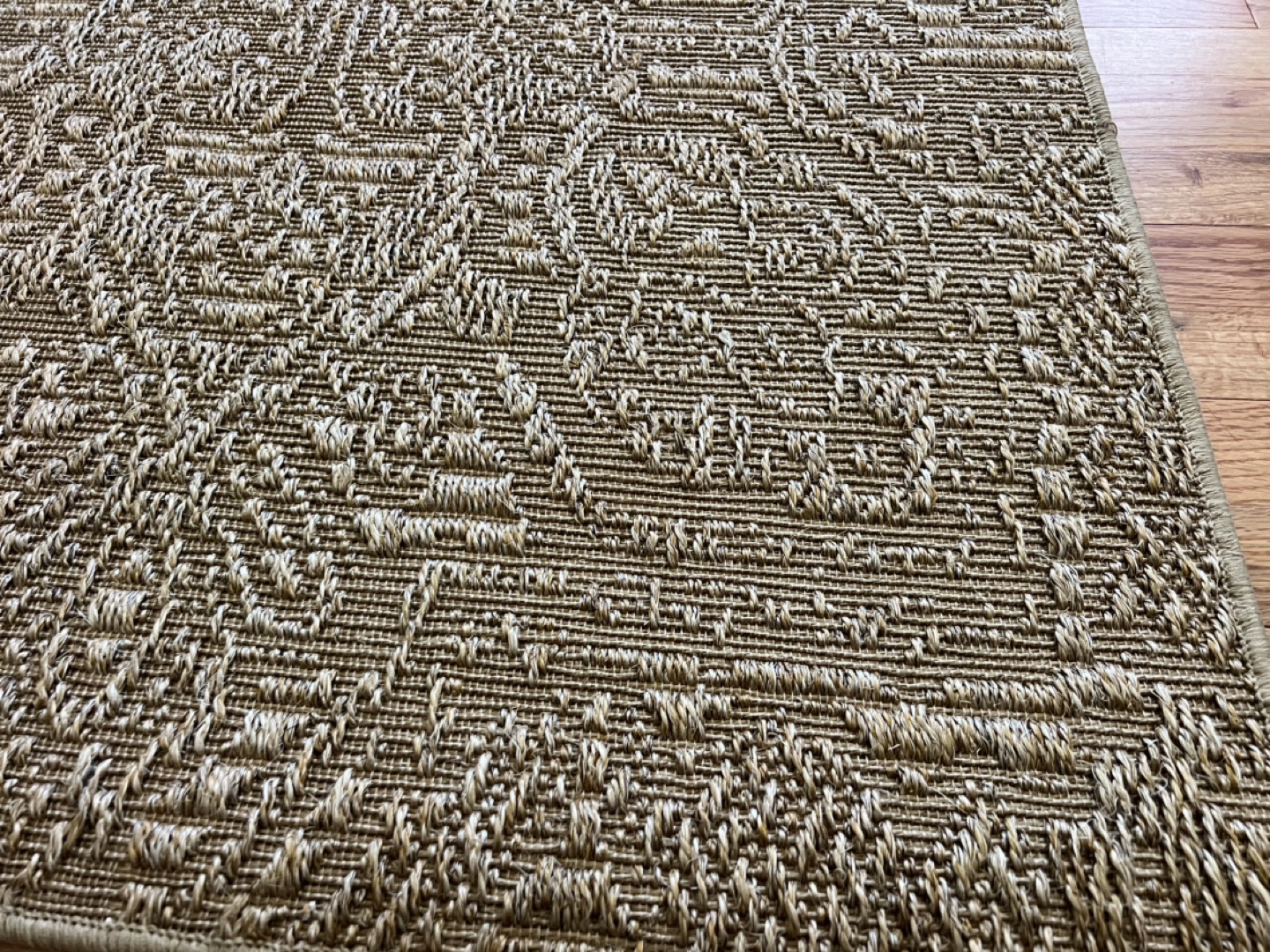 SISAL INDOOR/OUTDOOR AREA RUG 3’ X 5’, KOOPER WHEATBERRY - photo 3