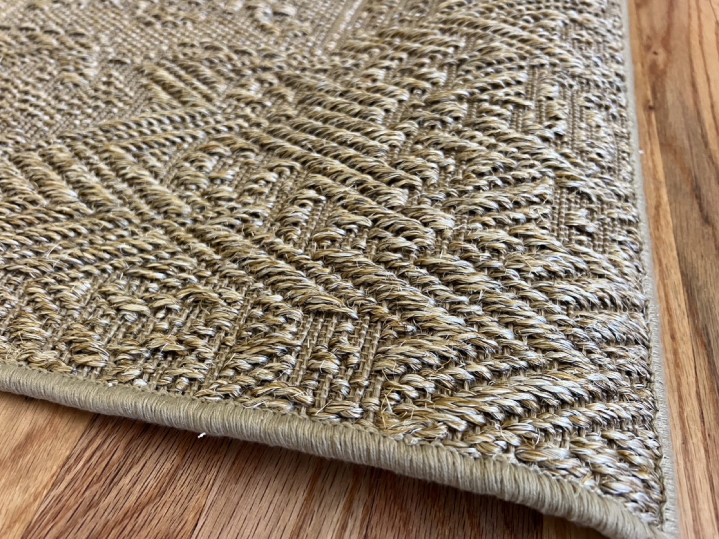 SISAL INDOOR/OUTDOOR AREA RUG 3’ X 5’, ZEKE WHEATBERRY - photo 4