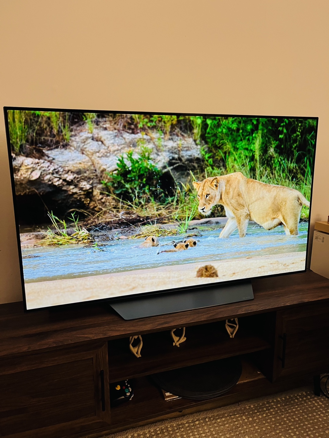 OLED LG 65 inch TV with Stand