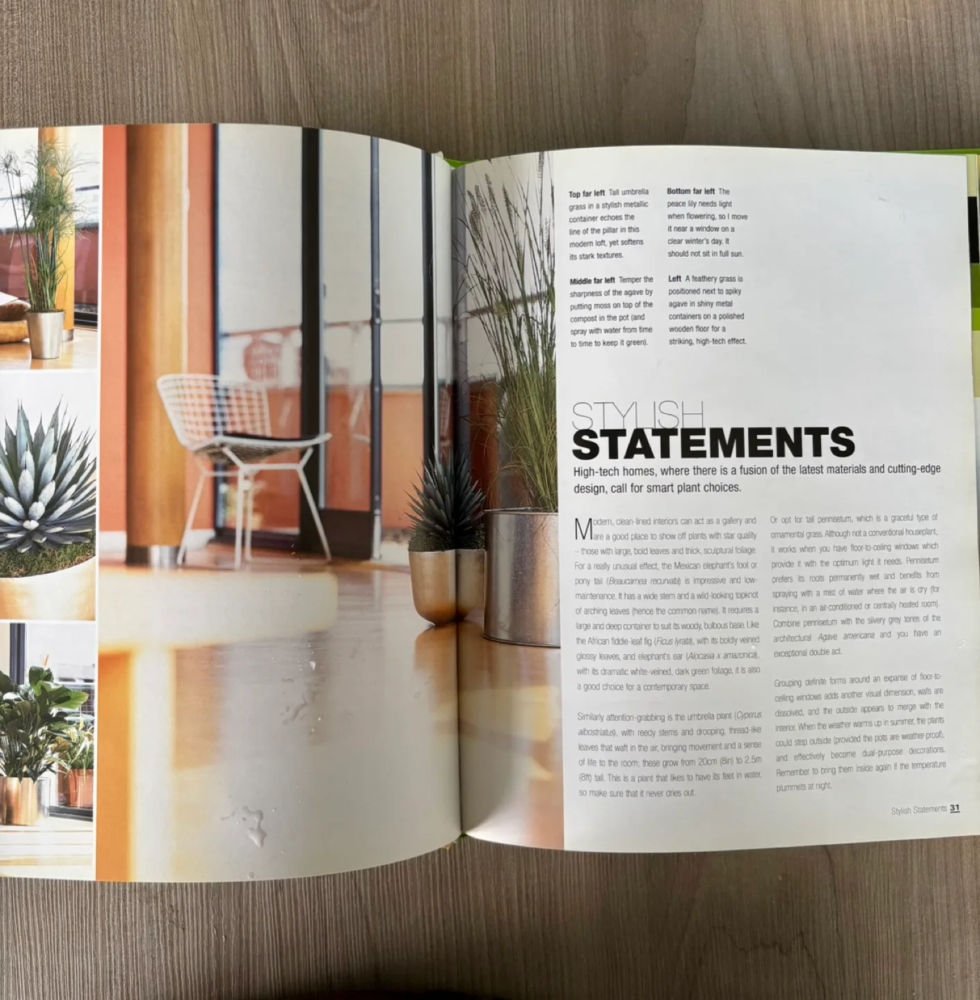 Hip Houseplants Book by Orlando Hamilton image indicator(2)