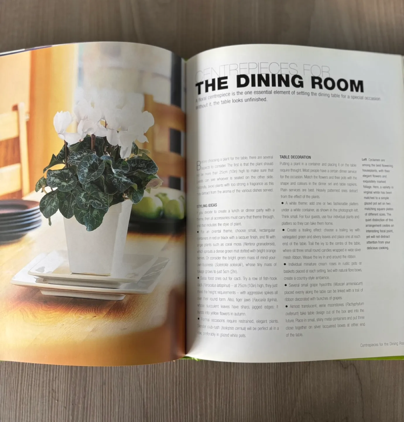 Hip Houseplants Book by Orlando Hamilton image indicator(3)