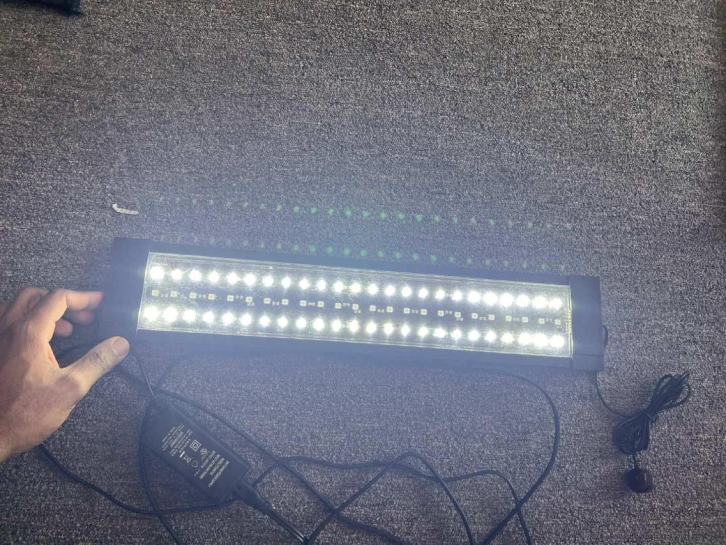 Aquarium light [FIRST COME, FIRST SERVE] image indicator(2)