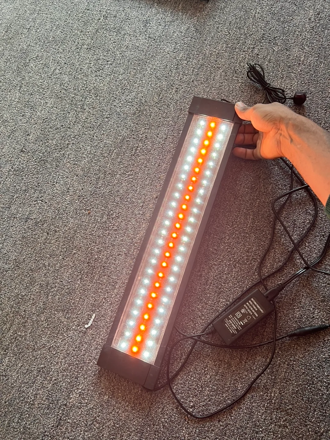 Aquarium light [FIRST COME, FIRST SERVE] image indicator(3)