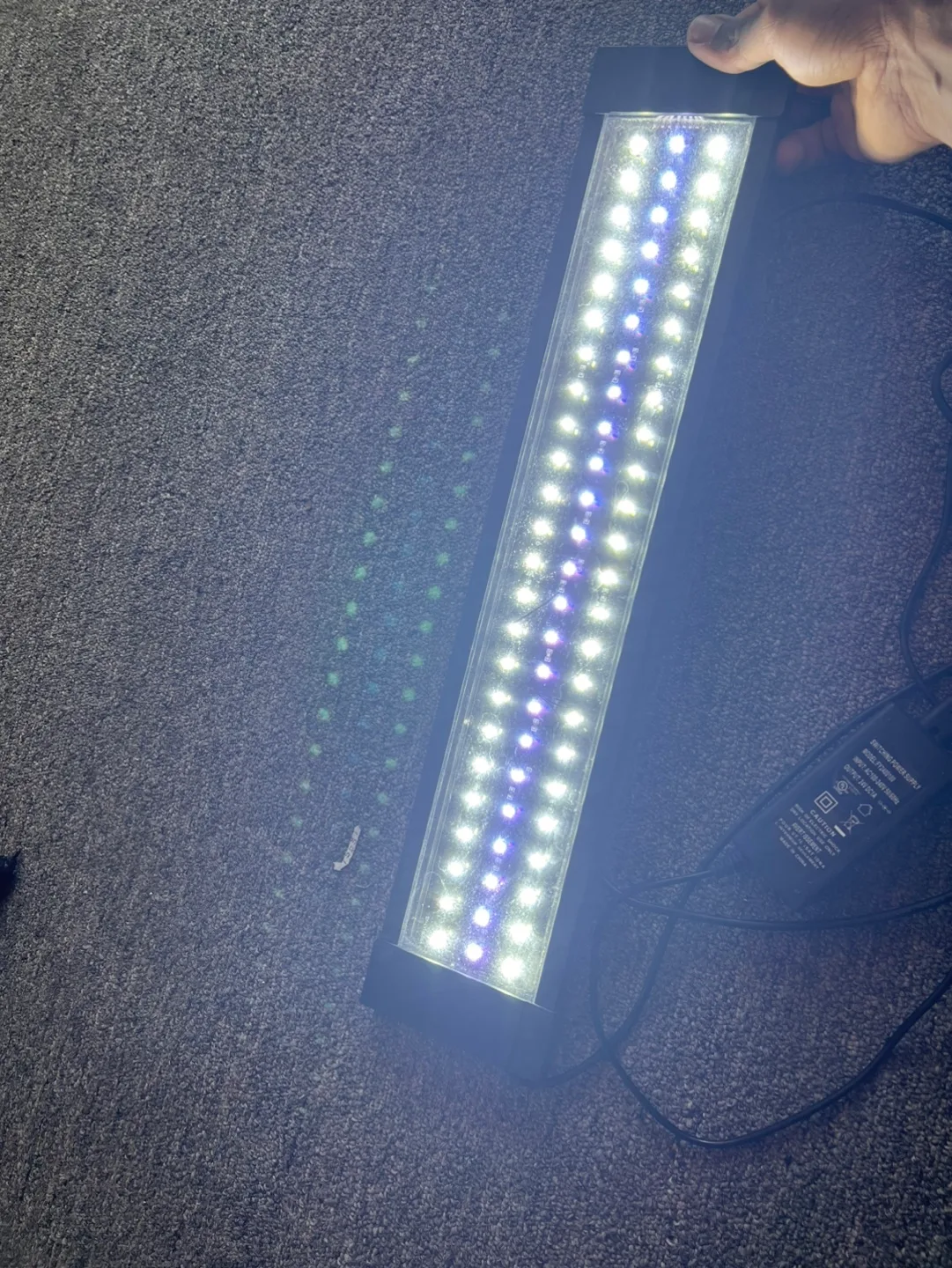 Aquarium light [FIRST COME, FIRST SERVE] image indicator(4)